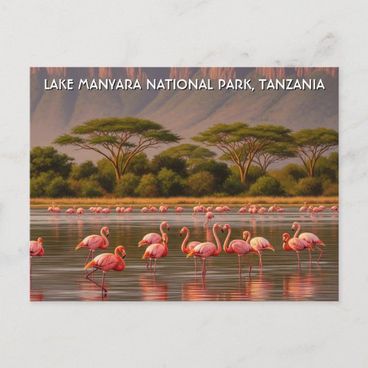 Flamingo's in het Tanzania Lake Manyara National P Briefkaart (Voorkant)