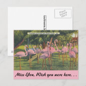 Flamingos in Miami, Florida Briefkaart (Voorkant / Achterkant)