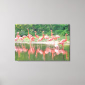 Flamingos in Row bij het meer, wilde Natuur vogels Canvas Afdruk (Voorkant)