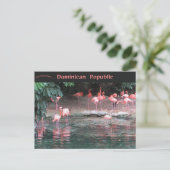 Flamingos in Santo Domingo Dominican Republic Briefkaart (Staand voorkant)