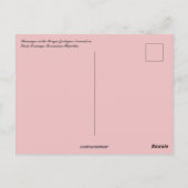 Flamingos in Santo Domingo Dominican Republic Briefkaart (Achterkant)