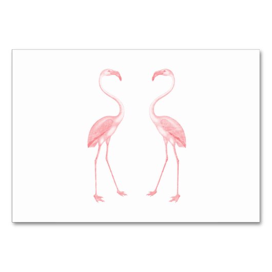 Flamingos Kaart (Achterkant)