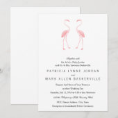 Flamingos Kaart (Voorkant / Achterkant)