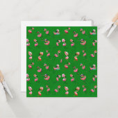 Flamingos Kaart (Voorkant / Achterkant in situ)