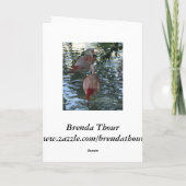 Flamingos Kaart (Achterkant)