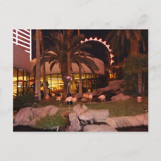 Flamingos, Las Vegas Briefkaart (Voorkant)