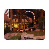 Flamingos, Las Vegas Photo Magnet Magneet (Horizontaal)