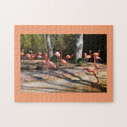 Flamingos Legpuzzel (Horizontaal)