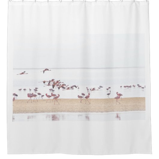Flamingos lopen en vliegen naar het strand. douchegordijn (Voorkant)