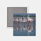 Flamingos Magneet (Voorkant / Achterkant)