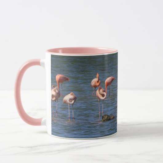 Flamingos Mok (Links)