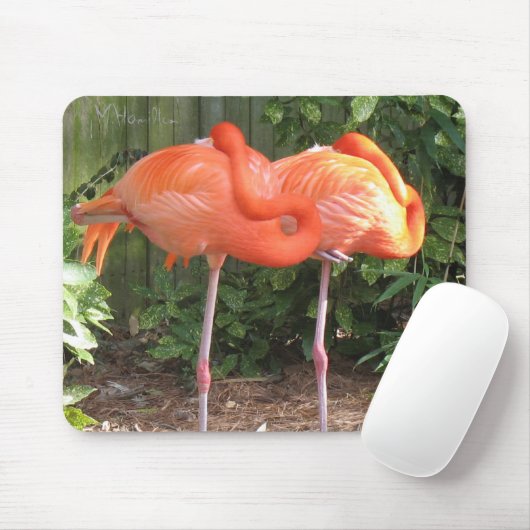Flamingos Muismat (Met muis)