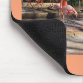 Flamingos Muismat (Hoek)