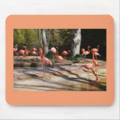 Flamingos Muismat (Voorkant)