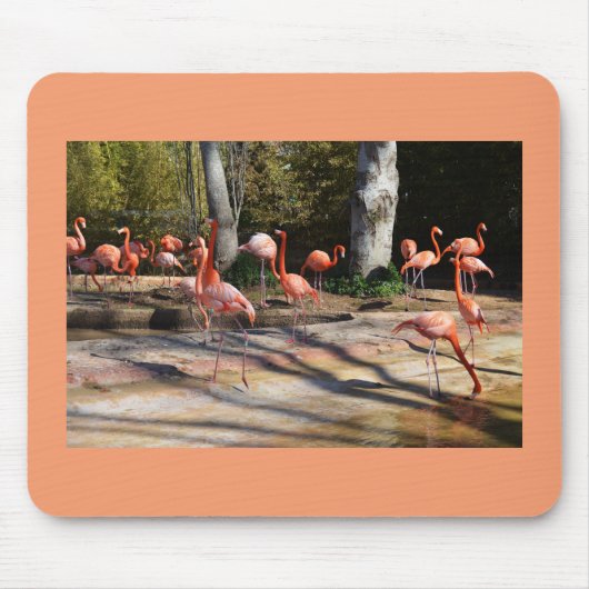 Flamingos Muismat (Voorkant)