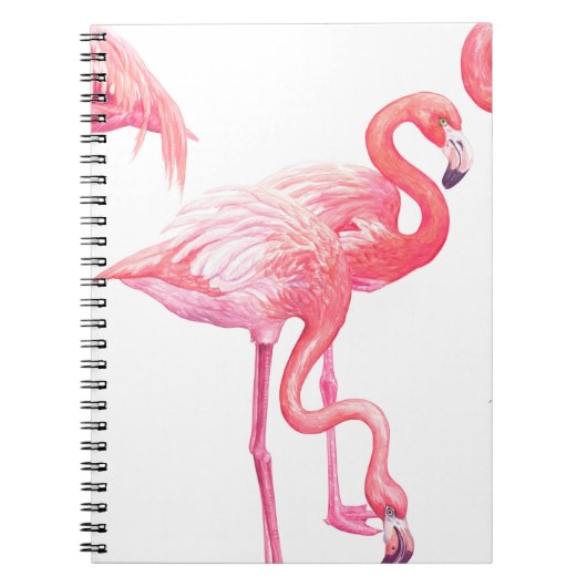 Flamingos Notitieboek (Voorkant)