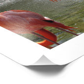 Flamingos op de fontein Foto van Linda Becker Afdruk (Hoek)