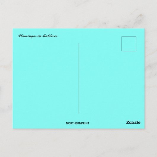 Flamingo's op de Malediven Briefkaart (Achterkant)