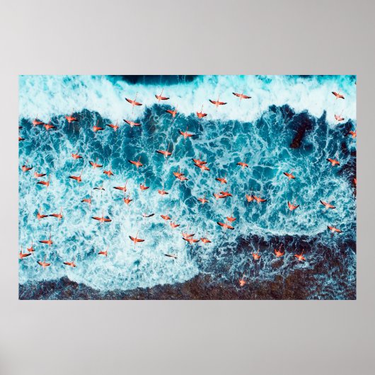 Flamingos op het strand van het zee van het caribi poster (Voorkant)