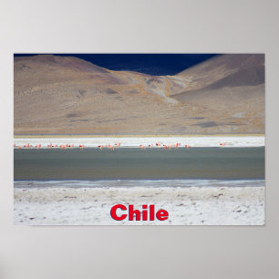 Flamingos op Salar del Huasco, Chili Poster