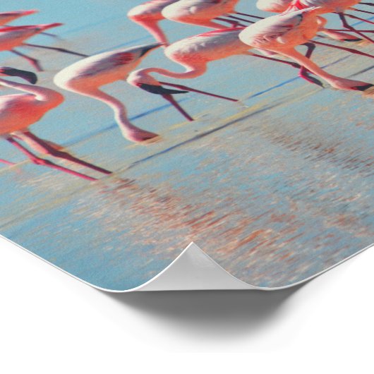 Flamingos op zonsopgang poster (Hoek)