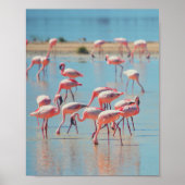 Flamingos op zonsopgang poster (Voorkant)