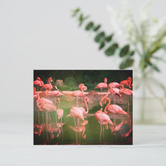Flamingos Pink Briefkaart (Staand voorkant)