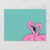 Flamingos Postcard Briefkaart (Voorkant)