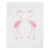 Flamingos Poster (Voorkant)