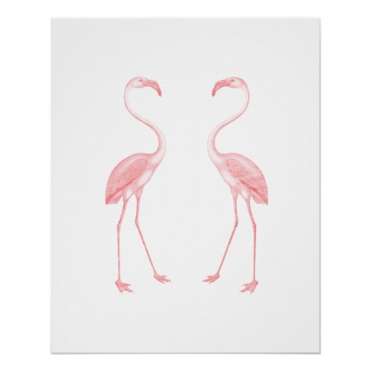 Flamingos Poster (Voorkant)