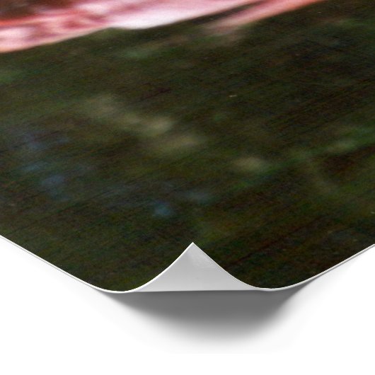 flamingo's poster (Hoek)