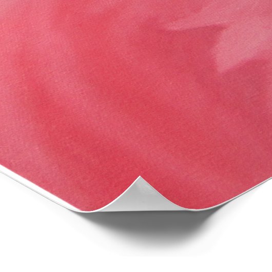 Flamingos Poster (Hoek)