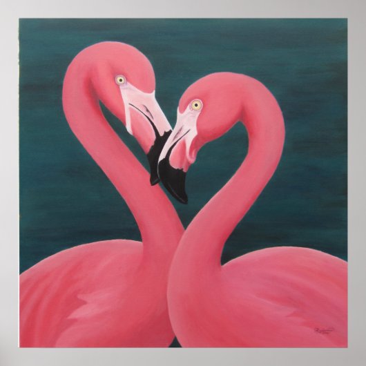 Flamingos Poster (Voorkant)