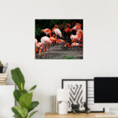Flamingos Poster (Thuiskantoor)