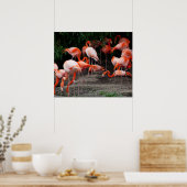 Flamingos Poster (Keuken)