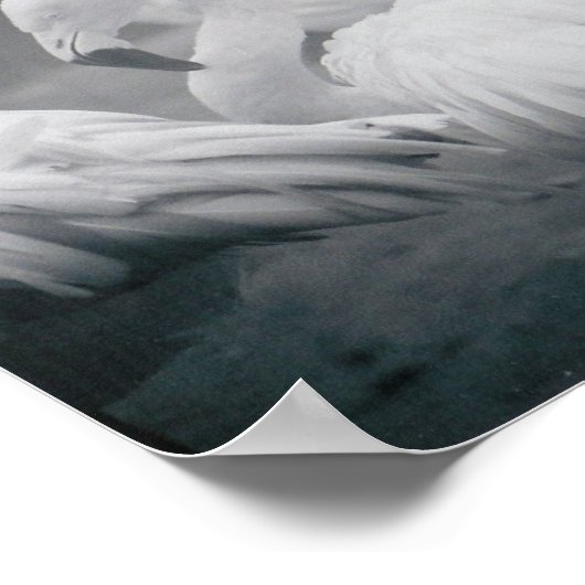 Flamingos Poster (Hoek)