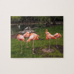 Flamingo's Puzzel