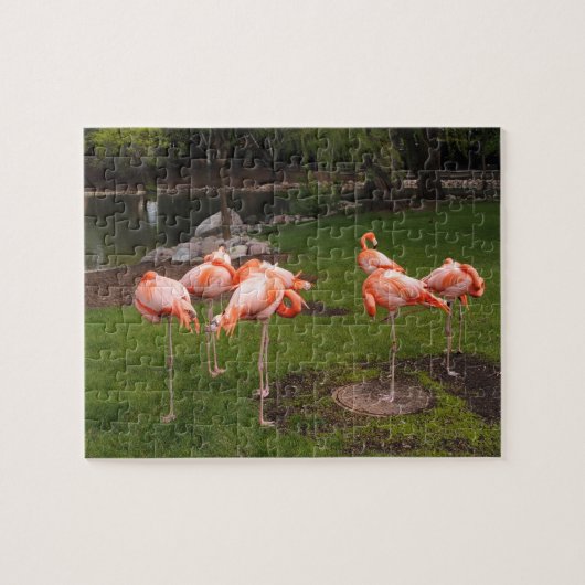 Flamingo's Puzzel (Horizontaal)