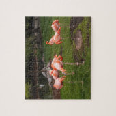 Flamingo's Puzzel (Verticaal)