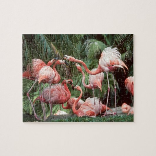 Flamingos Puzzle Legpuzzel (Horizontaal)