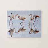 Flamingos Puzzle Legpuzzel (Horizontaal)