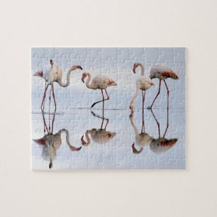 Flamingos Puzzle Legpuzzel