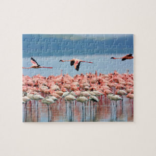 Flamingos Puzzle Legpuzzel