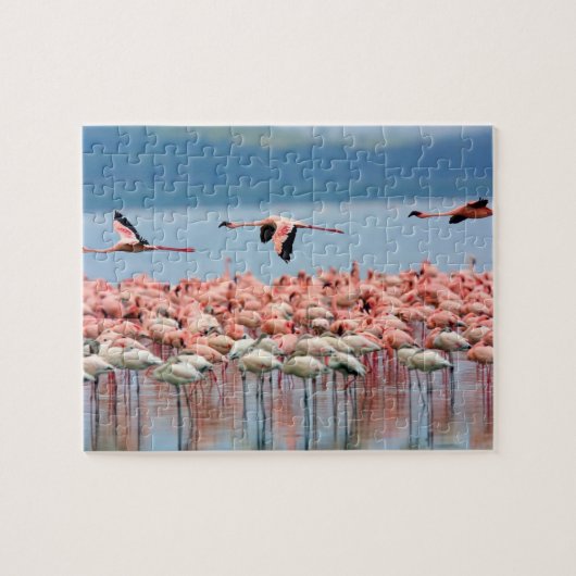 Flamingos Puzzle Legpuzzel (Horizontaal)