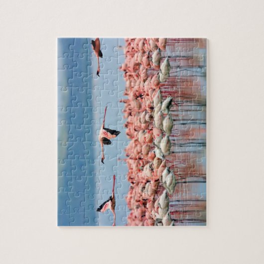 Flamingos Puzzle Legpuzzel (Verticaal)