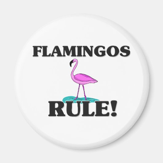 FLAMINGOS-regel! Magneet (Voorkant)