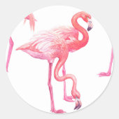 Flamingos Ronde Sticker (Voorkant)