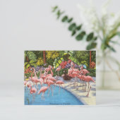  flamingo's roze retro reizen briefkaart (Staand voorkant)