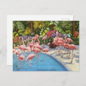  flamingo's roze retro reizen briefkaart (Voorkant / Achterkant)