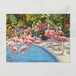  flamingo's roze retro reizen briefkaart